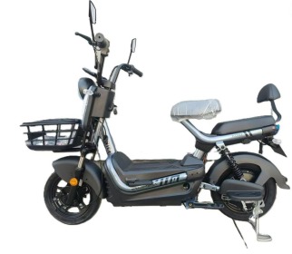 WhatsApp Image 2026-01-13 at 15.50.36