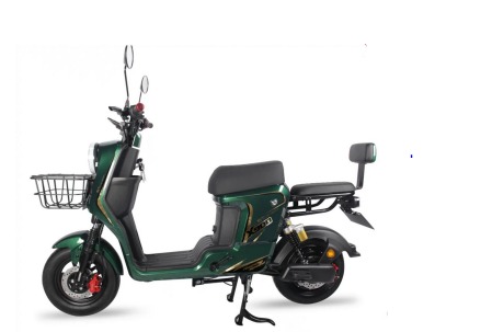 WhatsApp Image 2026-01-13 at 15.53.00